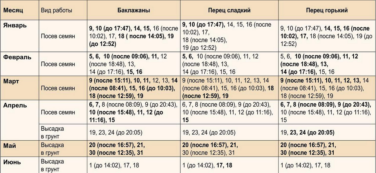Выращивание рассады овощных культур 2