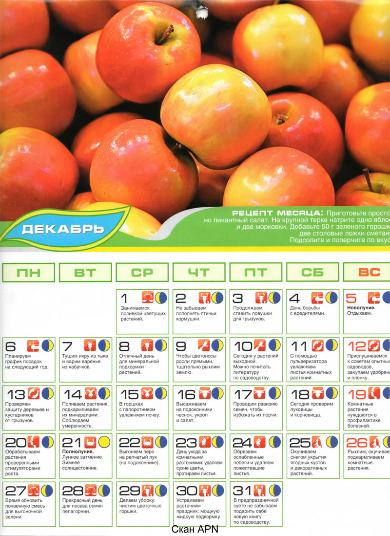 Luna_posev_kalendar_2010-dek