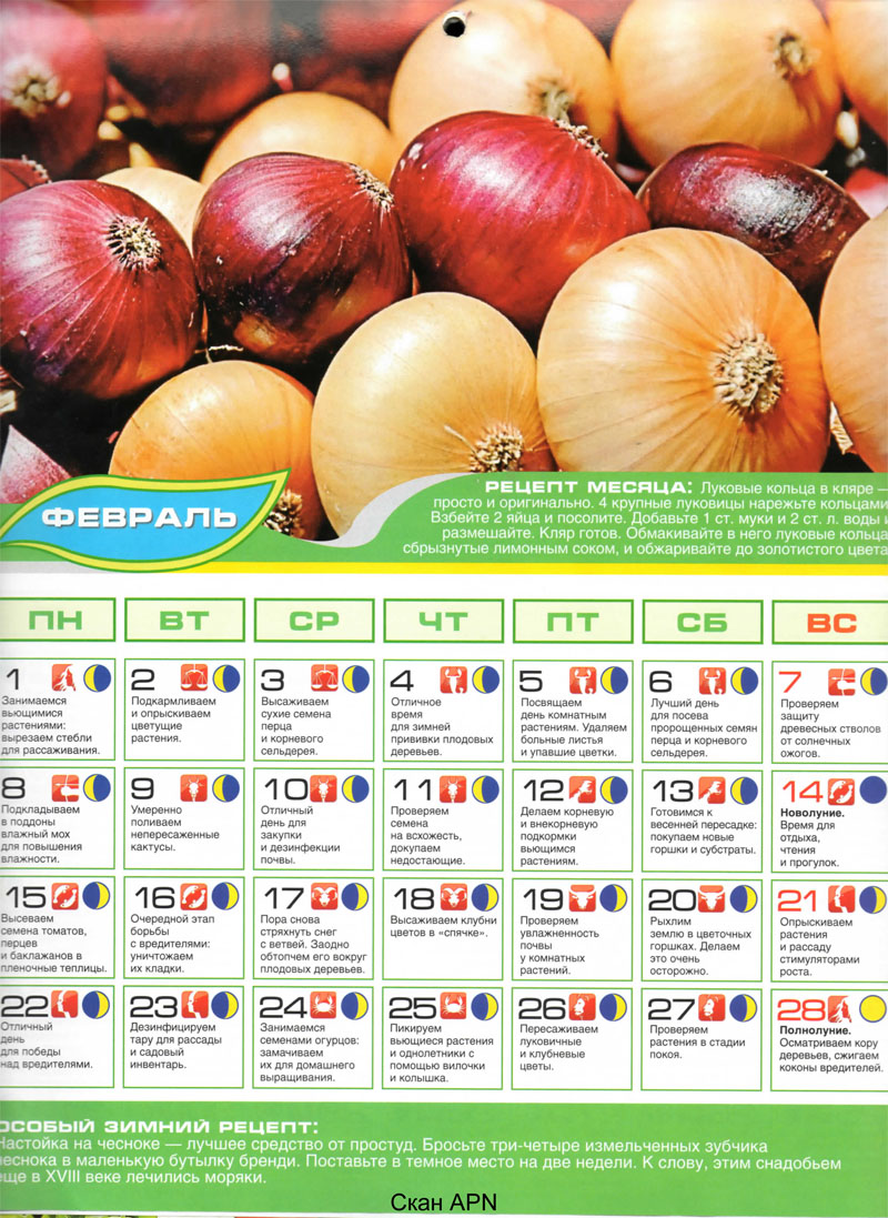 Luna_posev_kalendar_2010-fev