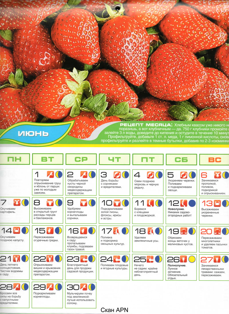 Luna_posev_kalendar_2010-iyun