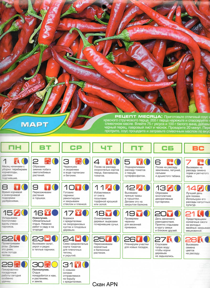 Luna_posev_kalendar_2010-mart