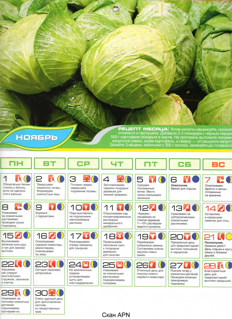 Luna_posev_kalendar_2010-noyabr