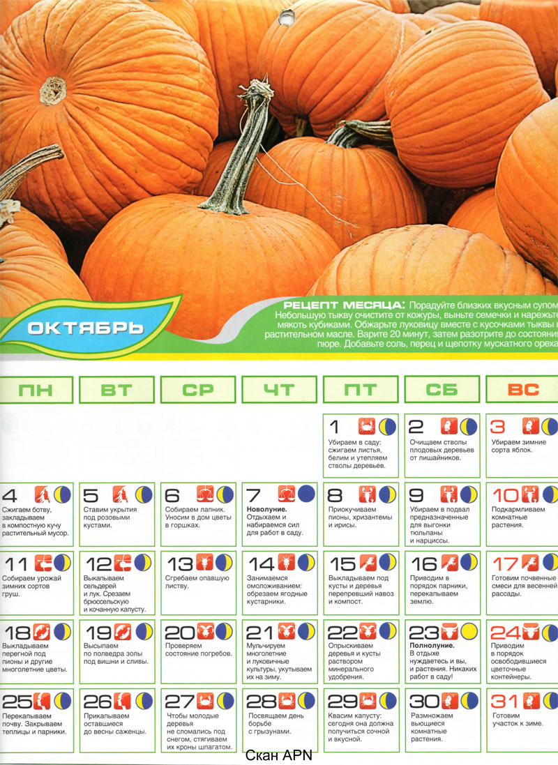 Luna_posev_kalendar_2010-okt