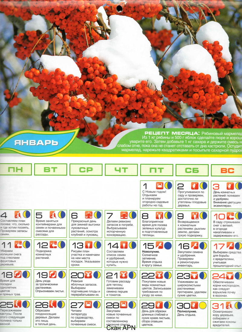 Luna_posev_kalendar_2010-yanvar