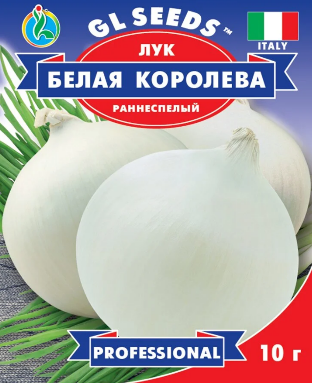 Как вырастить лук на собственном участке