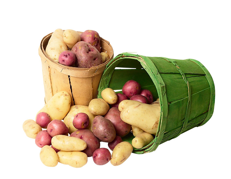 Ранний картофель