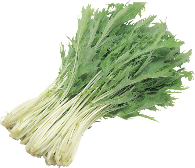 rukola
