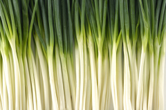 shalot