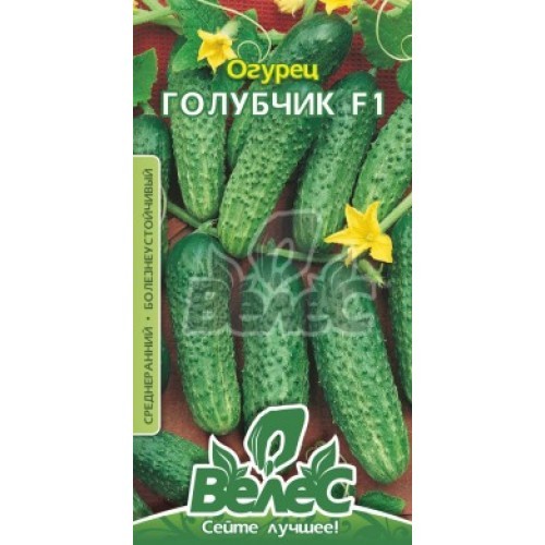 семена огурцов